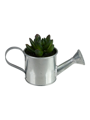 Northlight 4" X Pachyveria Succulent In Water Can Artificial Potted Plant - Green/silver