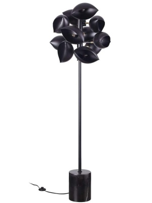Shell Cluster Floor Lamp With Nero Marquina Marble Base