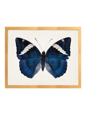 J Blue Butterfly
