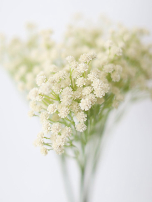 Real Touch Flowers Baby's Breath - 16"