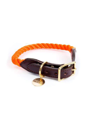 Found My Animal - Rescue Orange Rope & Leather Cat & Dog Collar