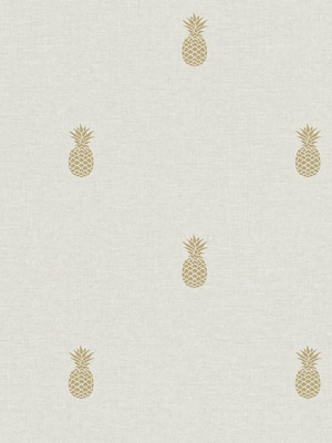 Southern Charm Beige Pineapple Wallpaper From The Seaside Living Collection By Brewster Home Fashions