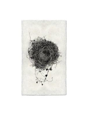 Nest Study #3 Framed Art