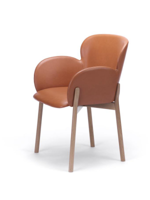 Ginger Armchair By Ton