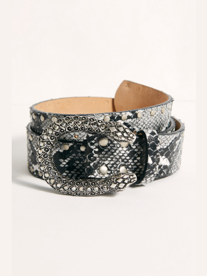 Viper Studded Belt