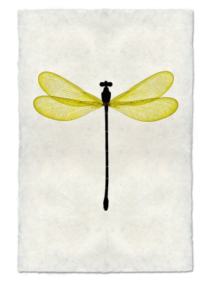 Yellow Damsel Dragonfly