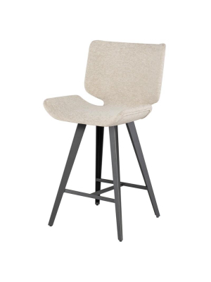 Astra Counter Stool