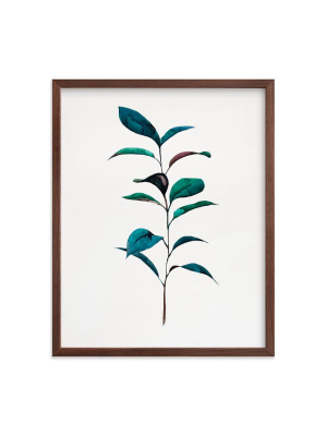 Minted For West Elm - Ruscus