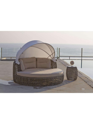 Dynasty Daybed Ottoman By Skyline Design