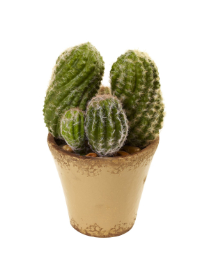 Nearly Natural Cactus Garden With Ceramic Planter