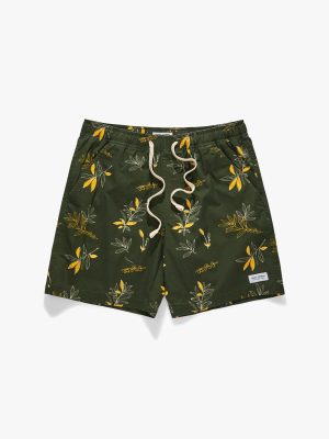 Neighbour Elastics Boardshort