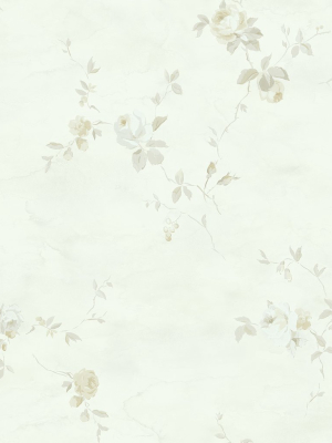 Rose Stripe Wallpaper In Grey And Gunmetal From The Watercolor Florals Collection By Mayflower Wallpaper