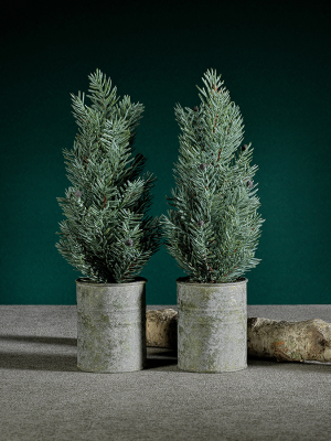 Pine Tree W/ Berries In Galvanized Pot-13"