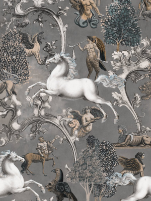 Imaginarium Wallpaper In Grey From The Wallpaper Compendium Collection By Mind The Gap