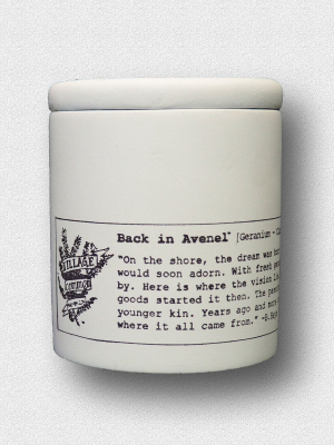 American Landscape Candle: Back In Avenel