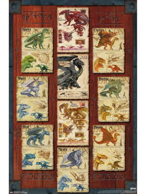 34" X 22" Dungeons And Dragons: Dragon Grid Unframed Wall Poster - Trends International