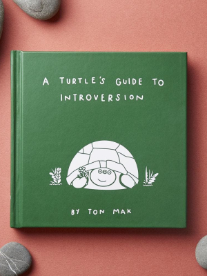 A Turtle's Guide To Introversion