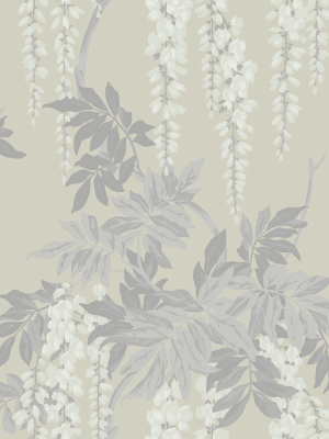 Wisteria Wallpaper In Cream, Taupe, And Grey From The Watercolor Florals Collection By Mayflower Wallpaper