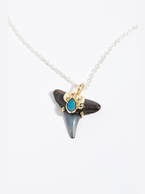14k Fossilized Shark Tooth Opal Necklace