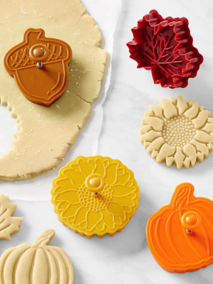 Fall Impression Cookie Stamps, Set Of 4