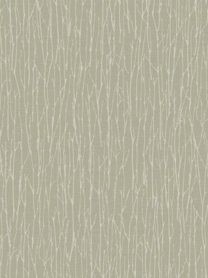 Woodland Twigs Wallpaper In Beige By Antonina Vella For York Wallcoverings