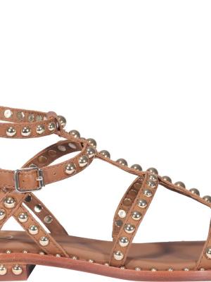 Ash Precious Gladiator Sandals