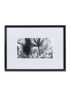 Black & White Palm Leaves - B
