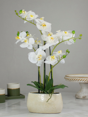 Northlight 22" Artificial White And Yellow Orchid Plant With A White Oval Pot Tabletop Decor