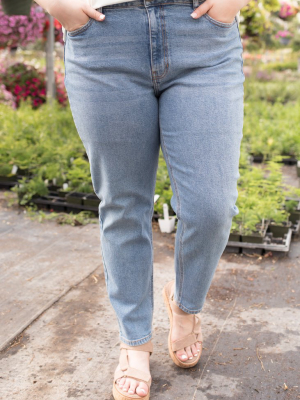 Hailey Medium Denim High Rise Jeans