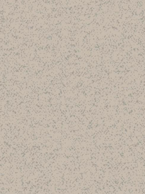 Sprinkle Wallpaper In Metallic And Pearlescent Grey By Antonina Vella For York Wallcoverings