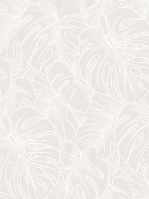 Balboa Botanical Wallpaper In White From The Scott Living Collection By Brewster Home Fashions