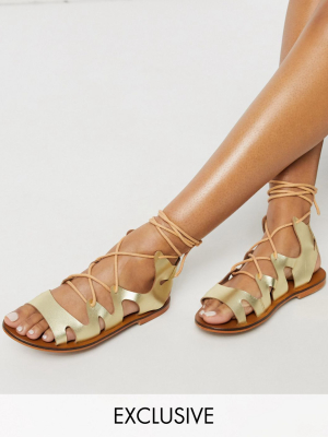 Asra Exclusive Savannah Gladiator Sandals In Gold Leather