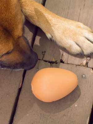 Bouncy Egg Treat Ball