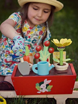 Garden Wheelbarrow Set