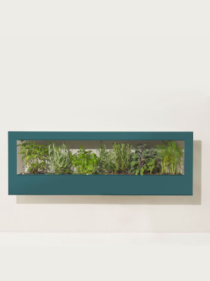 Modern Sprout - Landscape Growframe