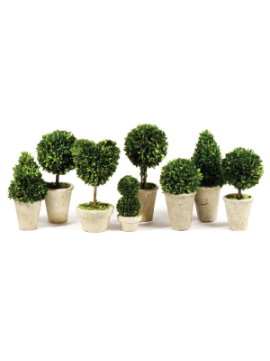 Boxwood Topiary Set
