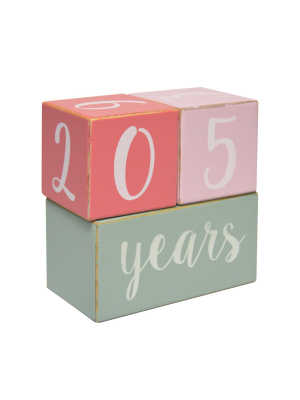 Milestone Wood Blocks - Cloud Island™ Pink