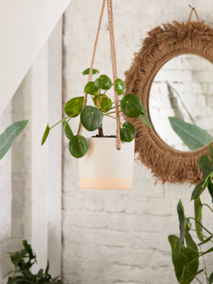 Cylinder Ceramic 6" Hanging Planter