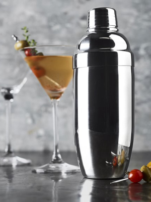 Insulated Cocktail Shaker