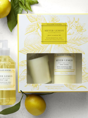 Williams Sonoma Meyer Lemon Guest Set