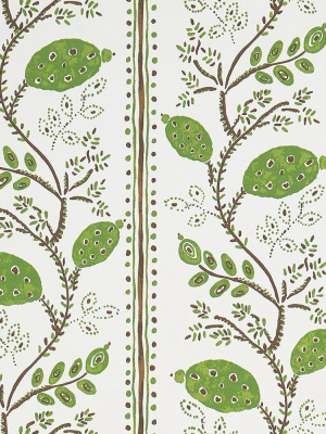 Pomegranate Trail Wallpaper In Green And Chocolate From The Ashdown Collection By Nina Campbell For Osborne & Little