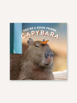 You're A Good Friend, Capybara