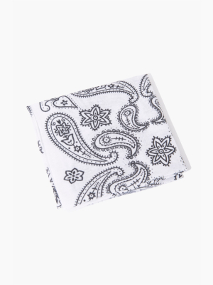 Paisley Print Scarf