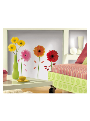 48 Small Gerber Daisies Peel And Stick Wall Decalas - Roommates