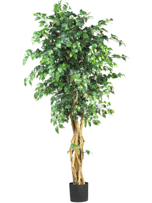 6ft Artificial Palace Style Ficus Silk Tree In Pot - Nearly Natural