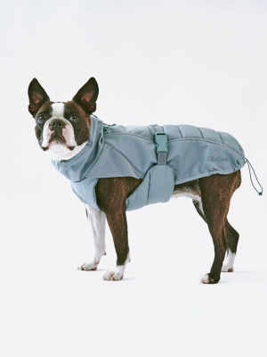 Stefano Winter Dog Coat