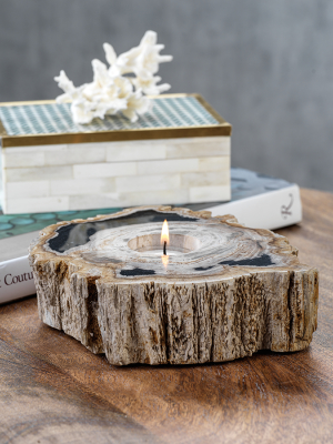 Fortaleza Petrified Wood Tealight Holder