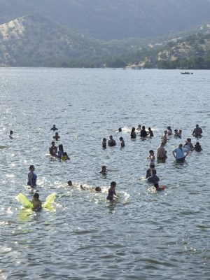 Catherine Opie: Memorial Day, Three Rivers, Ca Photograph