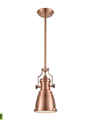 Chadwick 1-light Mini Pendant With Matching Shade - Includes Led Bulb In Various Colors