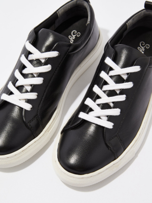 Seychelles Stand Out Leather Sneaker